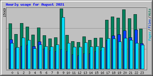 Hourly usage for August 2021