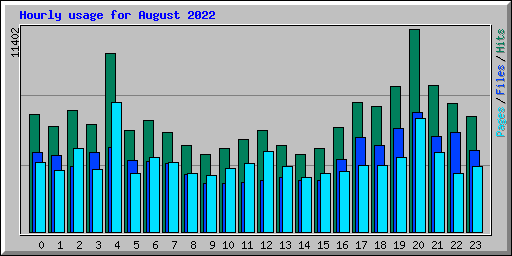 Hourly usage for August 2022