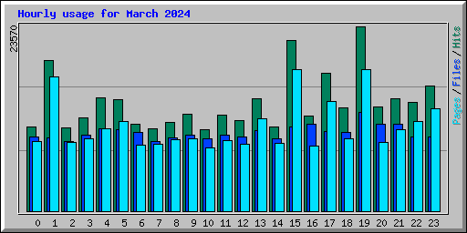 Hourly usage for March 2024