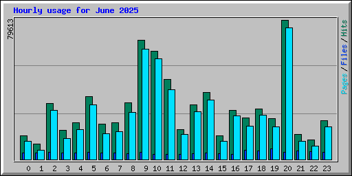 Hourly usage for June 2025