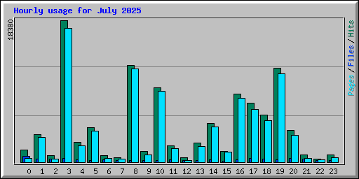 Hourly usage for July 2025