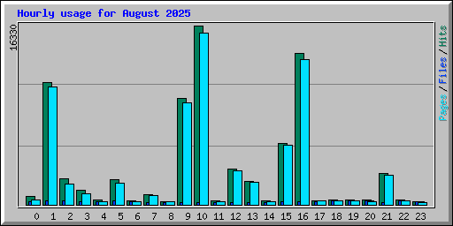 Hourly usage for August 2025